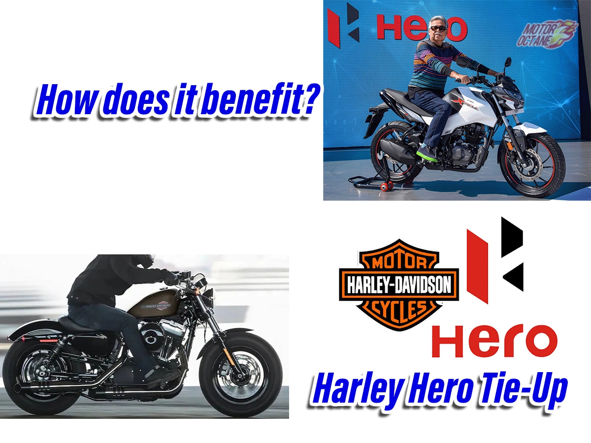 harley Hero Featured image