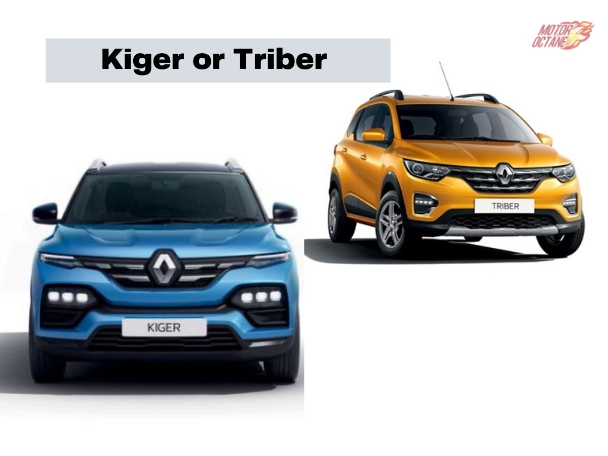 Kiger or Triber