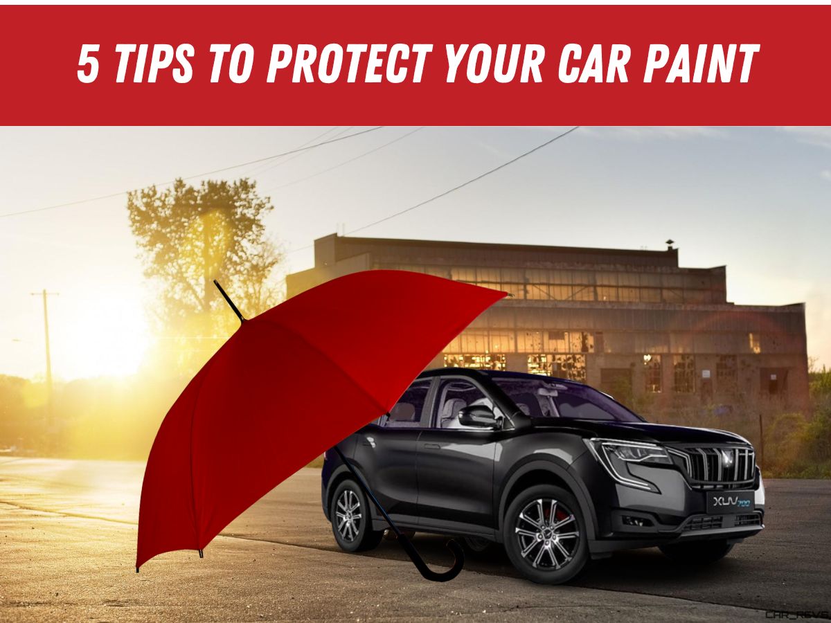 tips to protect car paint