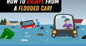 car flood survival