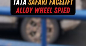 new Safari alloy wheels