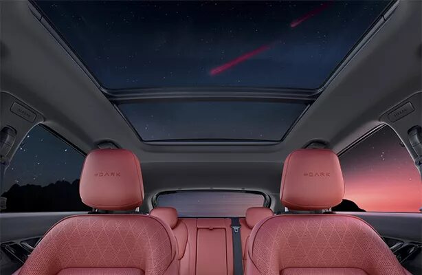 Tata Nexon Red Dark Edition