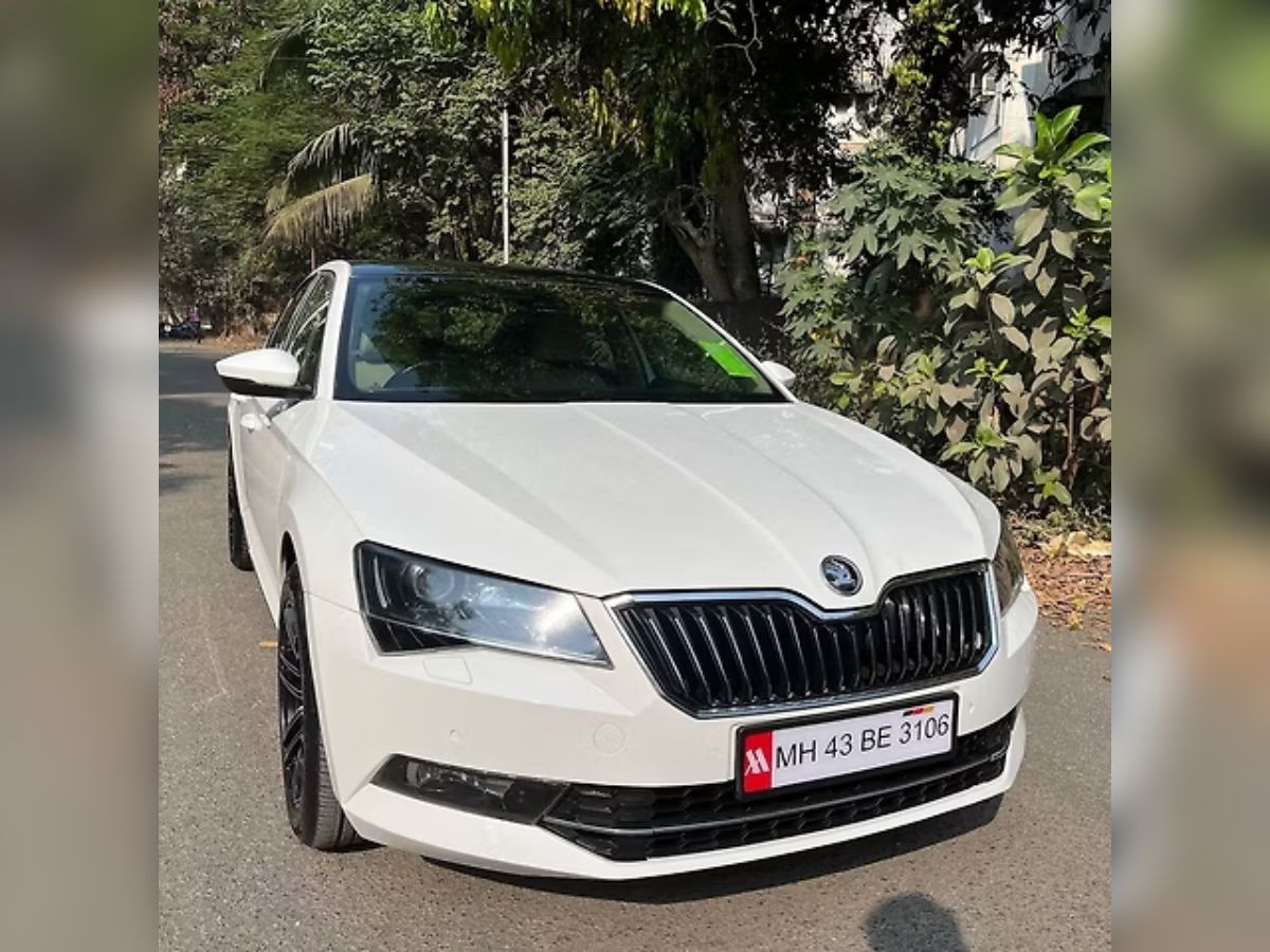 Superb-front